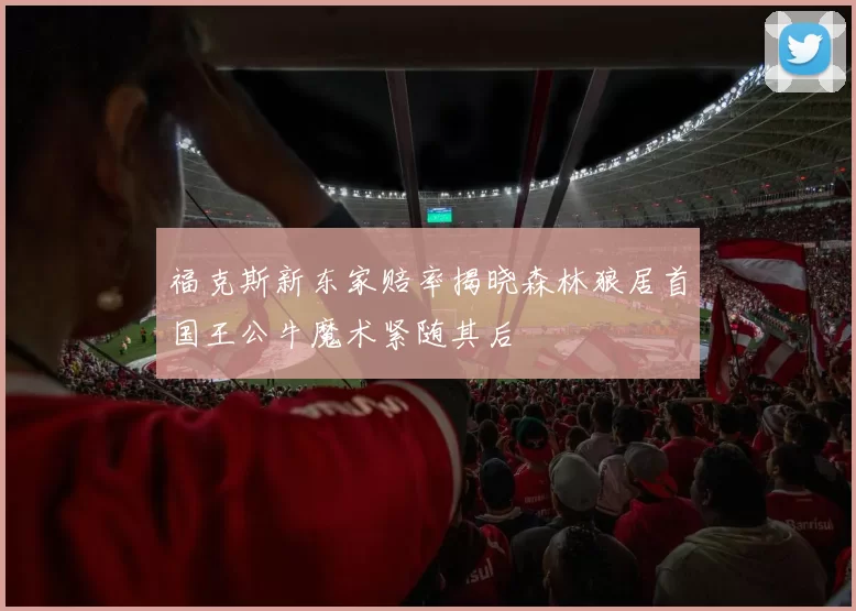 福克斯新东家赔率揭晓森林狼居首国王公牛魔术紧随其后
